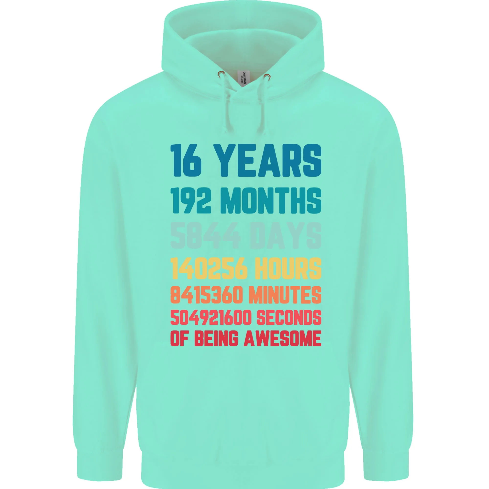 16th Birthday 16 Year Old Childrens Kids Hoodie