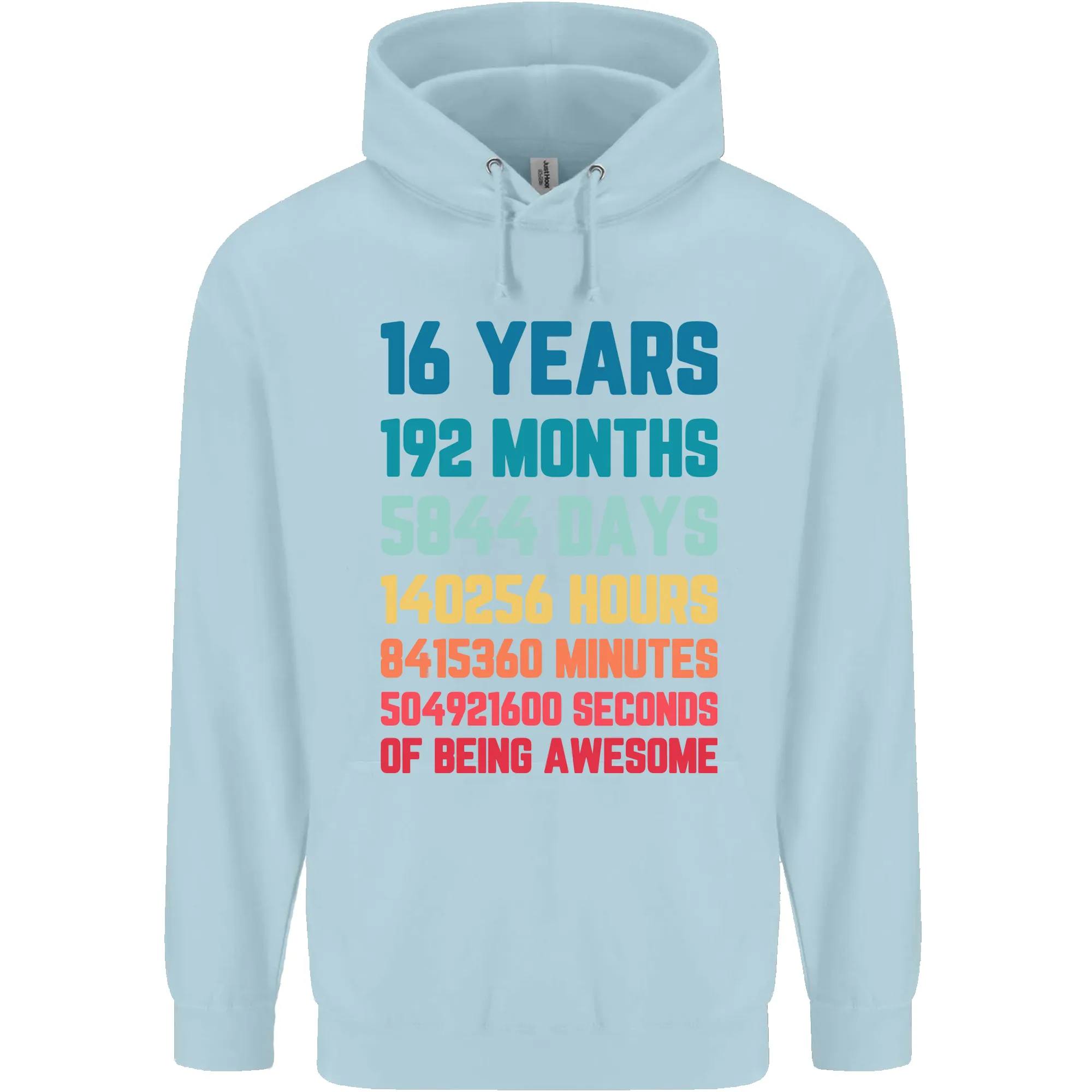 16th Birthday 16 Year Old Childrens Kids Hoodie