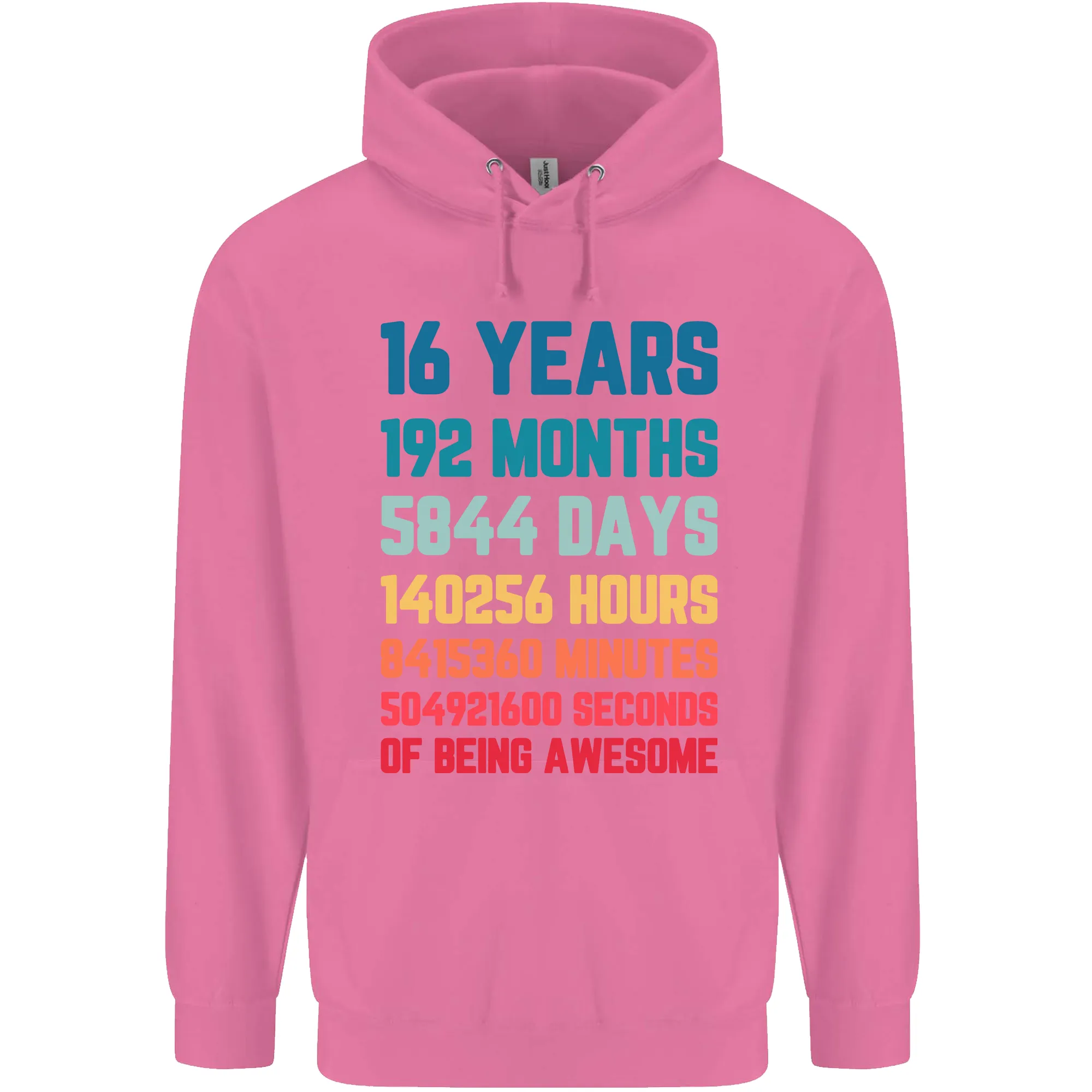 16th Birthday 16 Year Old Childrens Kids Hoodie