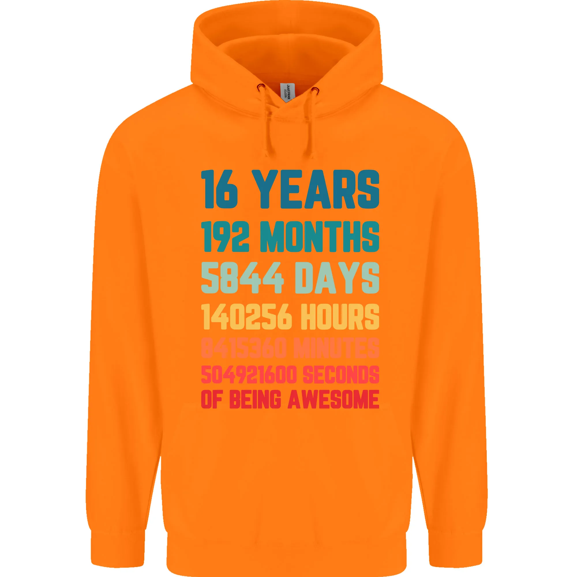 16th Birthday 16 Year Old Childrens Kids Hoodie