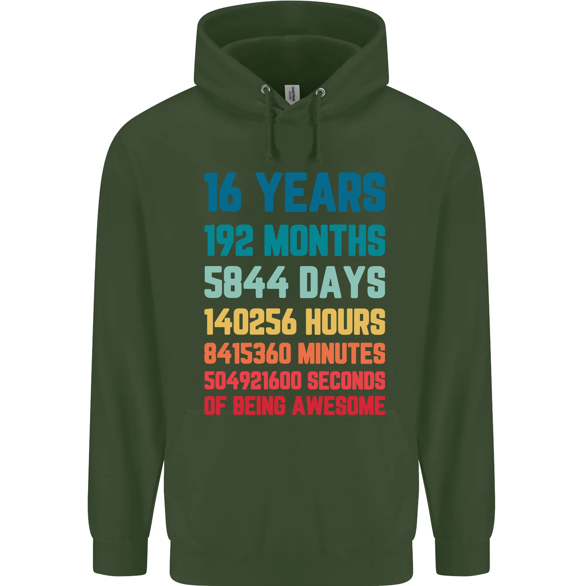 16th Birthday 16 Year Old Childrens Kids Hoodie