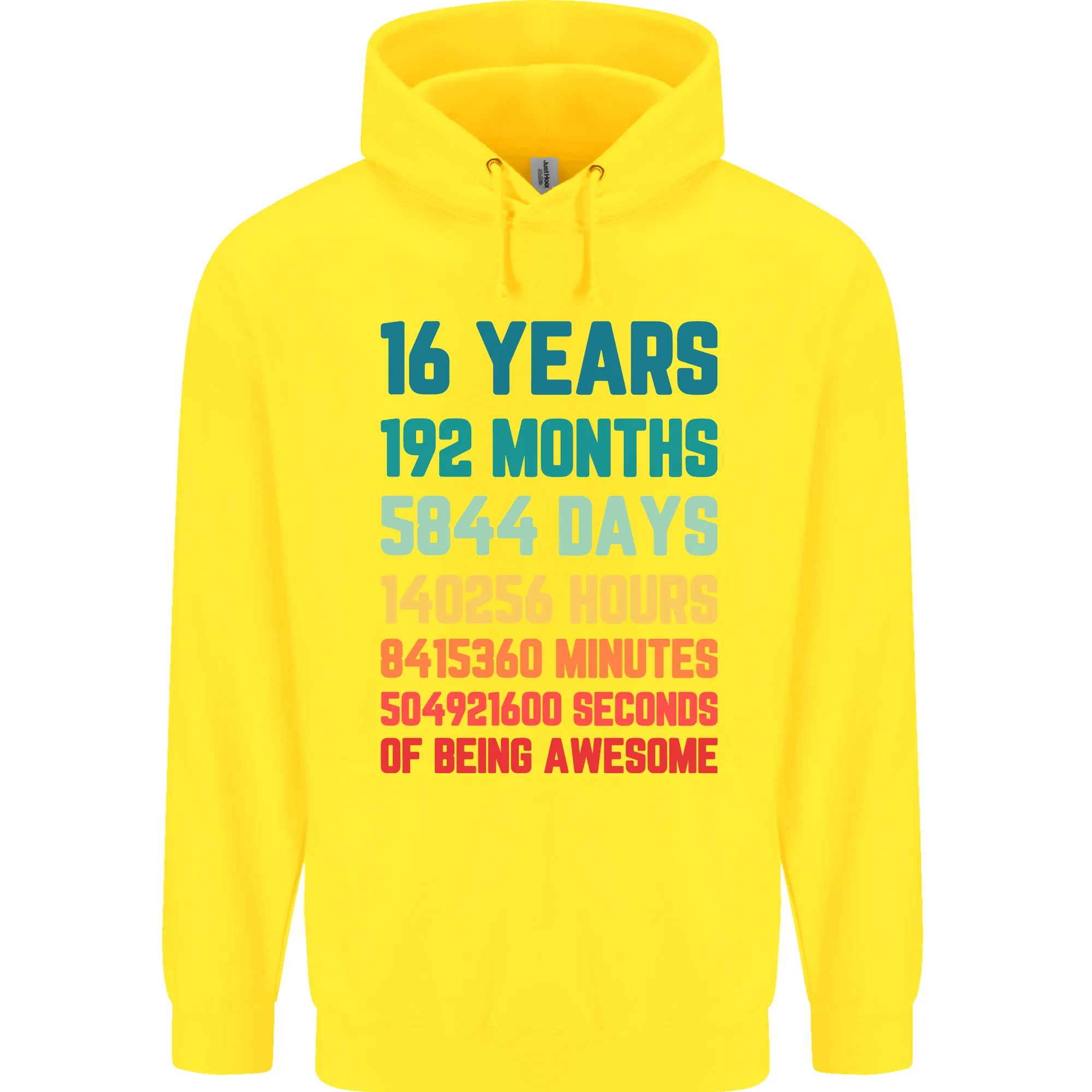 16th Birthday 16 Year Old Childrens Kids Hoodie